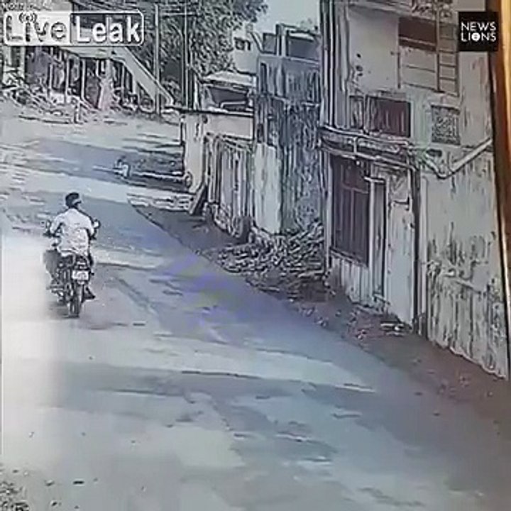 Singes Karatékas, meilleure compilation ! Arts Martiaux !