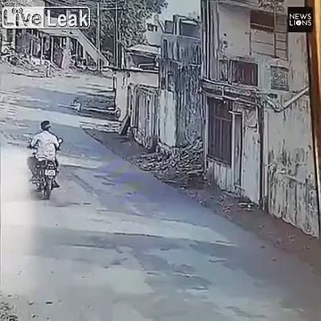 Singes Karatékas, meilleure compilation ! Arts Martiaux !