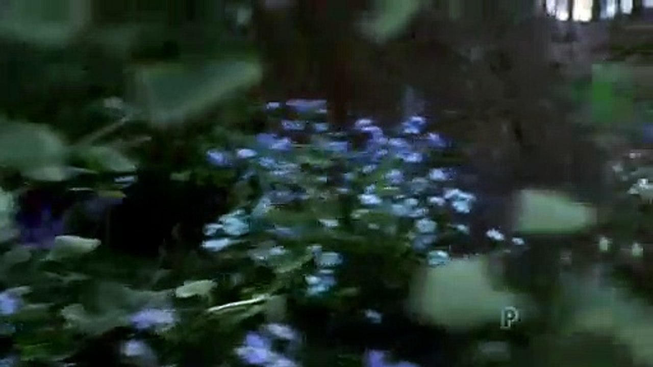 Emmerdale 2nd August 2018 Part 1 -- Emmerdale 2nd August 2018 -- Emmerdale August 2, 2018 -- Emmerdale 2-08-2018 -- Emmerdale 02-August- 2018 -- Emmerdale 2nd Aug 18