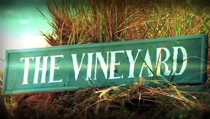 The Vineyard S01 E01