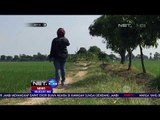 Warga Menemukan Benda Diduga Bom di Sawah - NET 24