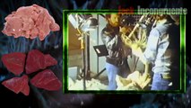 Curiosidades de Alien El Octavo Pasajero / Fun Fs Alíen 1979