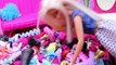 BARBIES NEW CHANNEL Sandaroo Stories With Barbie in Her Dreamhouse Bathroom
