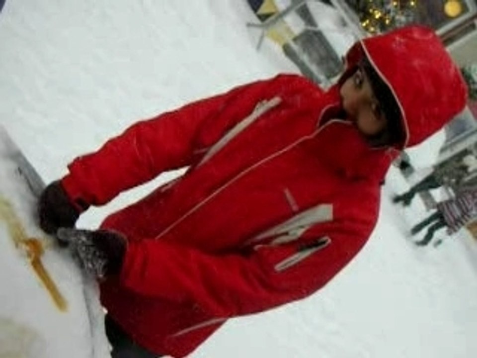 Tire d'érable sur la neige