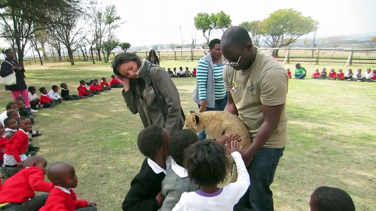 Cutest Lion Attack Ever