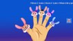 Rabbit (Bunny) Finger Family | Nursery Rhymes For Children