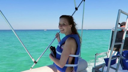 Swimming With Dolphins In the Wild