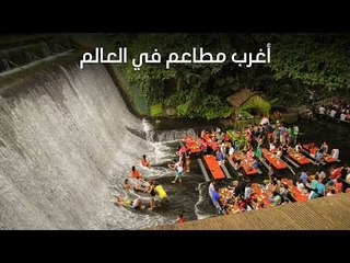 أغرب مطاعم في العالم