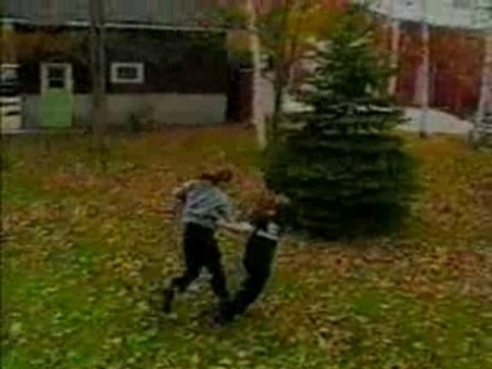 Grave video