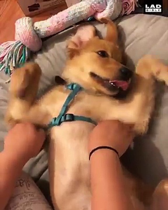 'Look, I'm flying!' 
