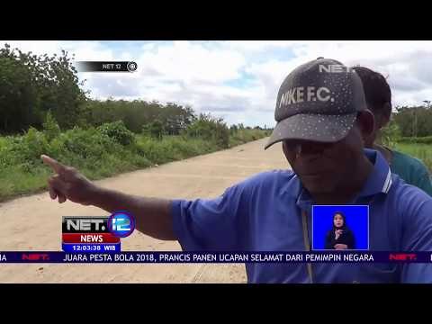 Setelah Membantai Lebih dari 200 Ekor Buaya, Warga Memalang Penangkaran Buaya - NET 12