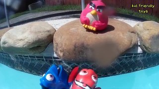 Finding Dory Angry Birds Pool Adventure with Surprise eggs kid friendly toys