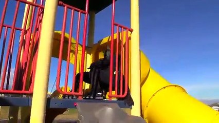 Justice Kidz | Ninja Kidz TV