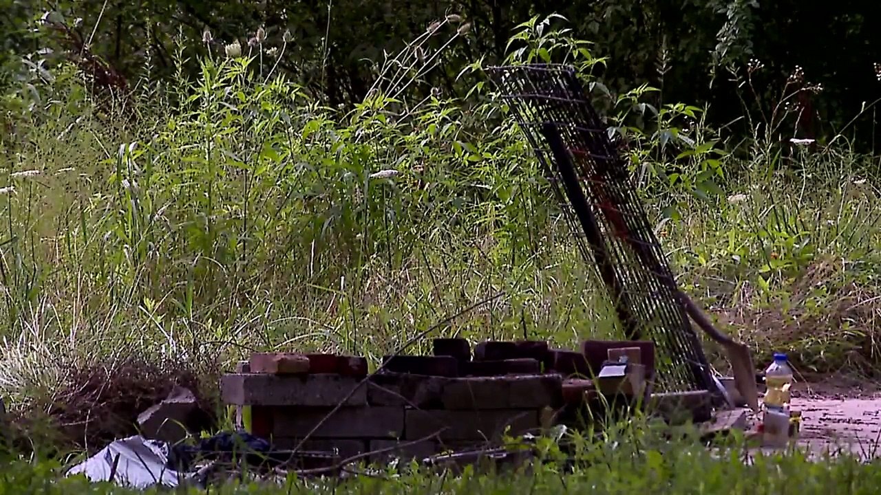 Burned Remains of Dog Found in Backyard Fire Pit