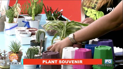 ARTSY CRAFTSY: Plant souvenir