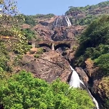 Dudhsagar waterfalls ❤️Video by x_roman #goa #india #travel #train