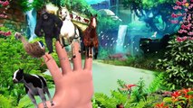 Finger Family Rhyme KING KONG & HORSE Version | Funny Children Poems In 3D
