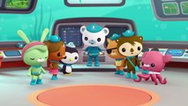 Octonauts: Creature Report Snot Sea Cucumber