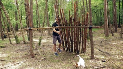 Gorilla Tape Shelter Build With My Dog | Survival Challenge | Bushcraft Camp