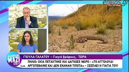 Γιαγιά βρέφους: Τον είχε δαγκώσει στο δάχτυλο η οχιά - Μας είπαν ότι το νοσοκομείο δεν διαθέτει ορό