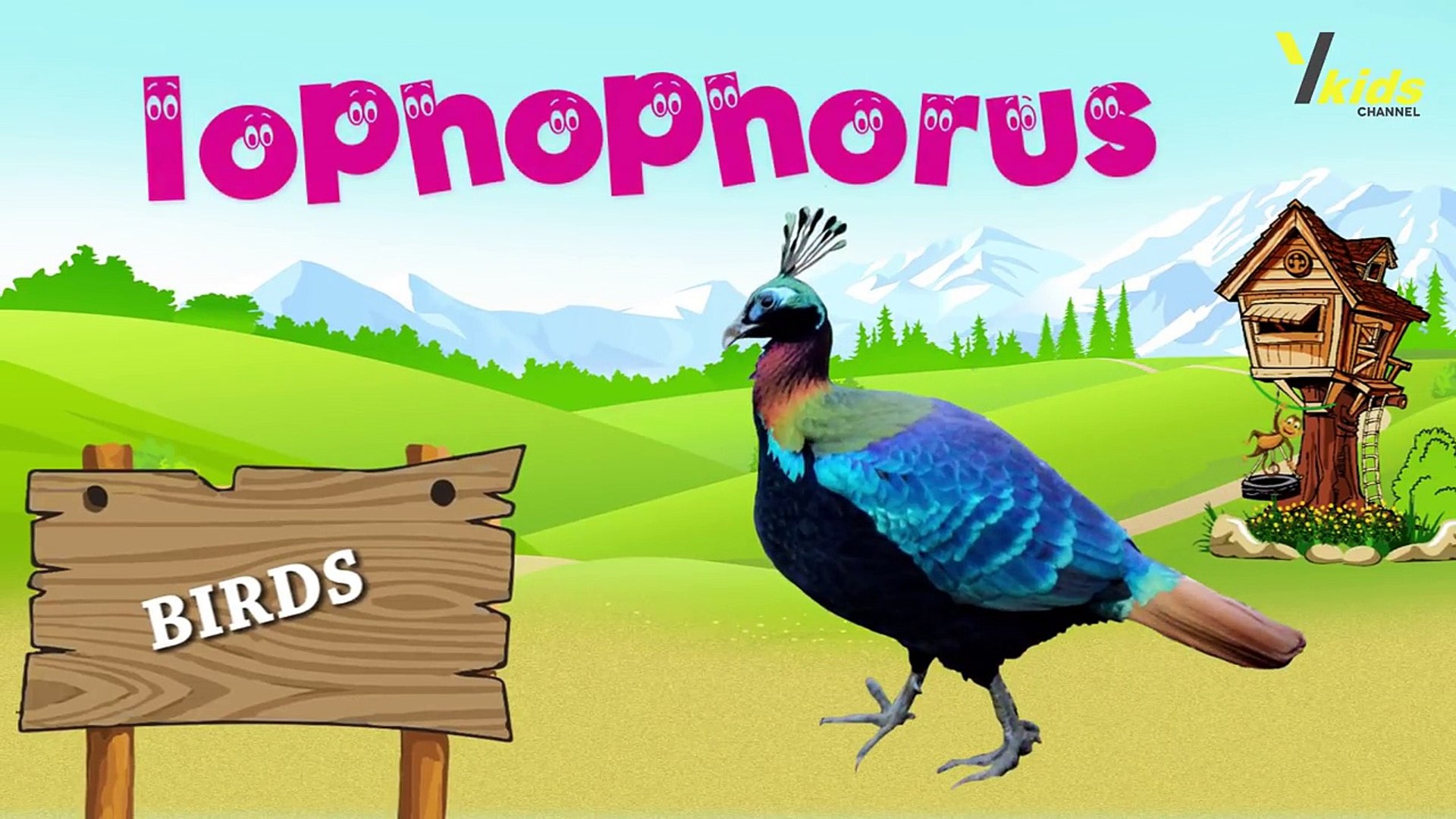 ⁣Birds Name And their sounds - Learn about birds - Different types of Birds - Kids Learning Center