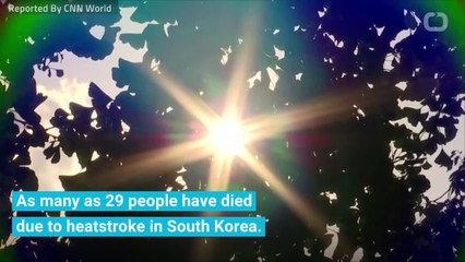 Heatwave leaves 29 dead in South Korea