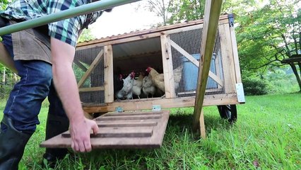 DIY Mobile Chicken Coop PLANS ~ ChickShaw 2.0 by Justin Rhodes
