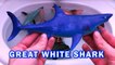Learning SHARK and Sea Animals Names and Sounds For Kids in English | SURPRISE TOYS Shark