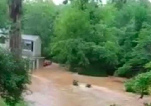 Severe Storm Brings Flash Flooding to Pittsboro, North Carolina