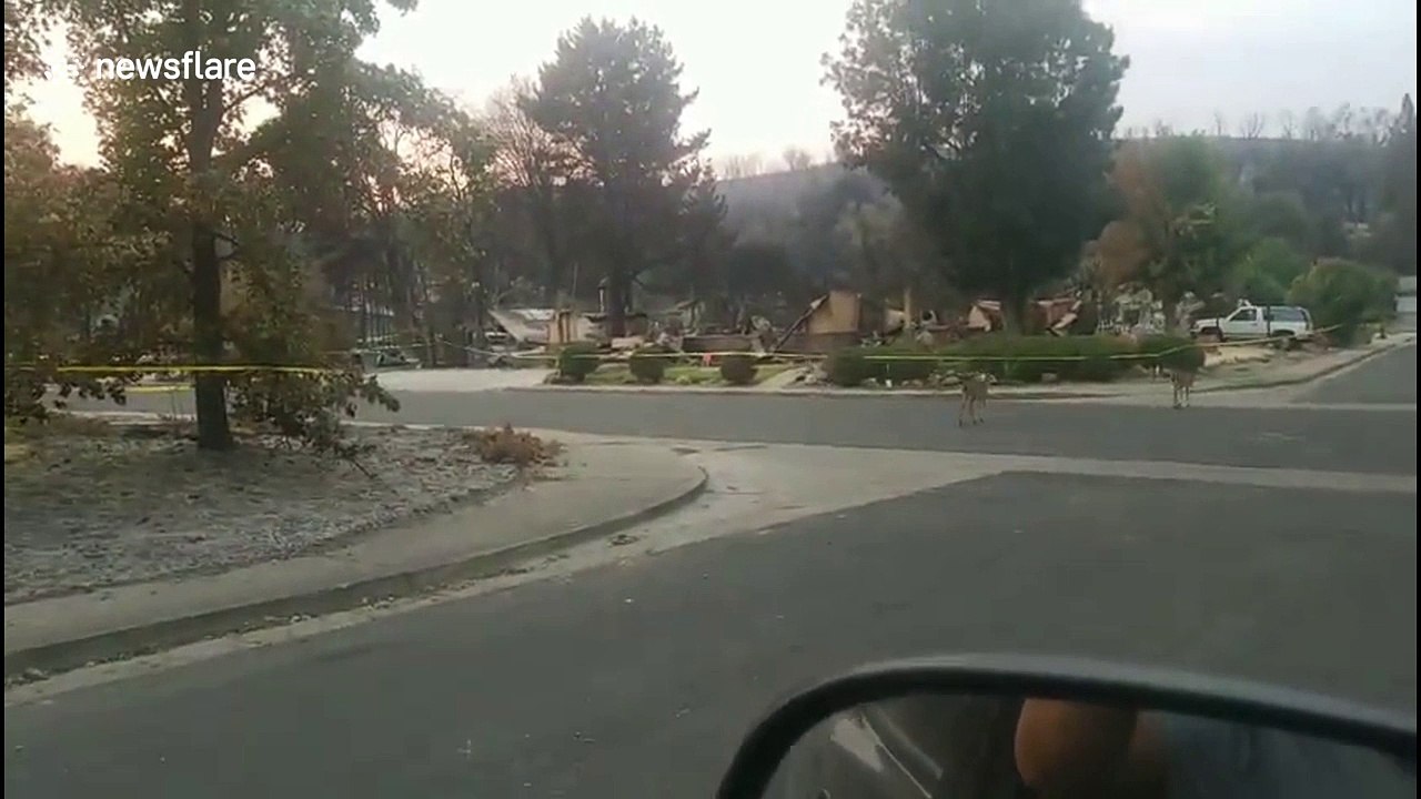 Over 1,000 homes scorched by devastating Carr fire
