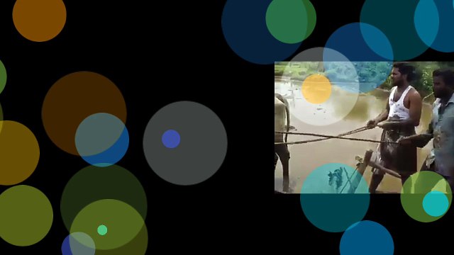 KIKI | Former Kiki Dance Viral on Social media | KiKi Challenge Former Video Trending in india And Karnataka |