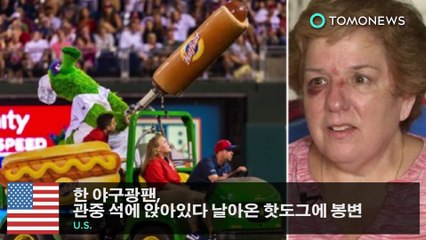 한 야구광팬, 관중 석에 앉아있다 날아온 핫도그에 봉변