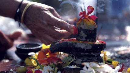 Sawan में शिव को चढाएं ये 6 पुष्प, हर मनोकामना होगी पूरी | Flowers to offer Lord Shiv | Boldsky