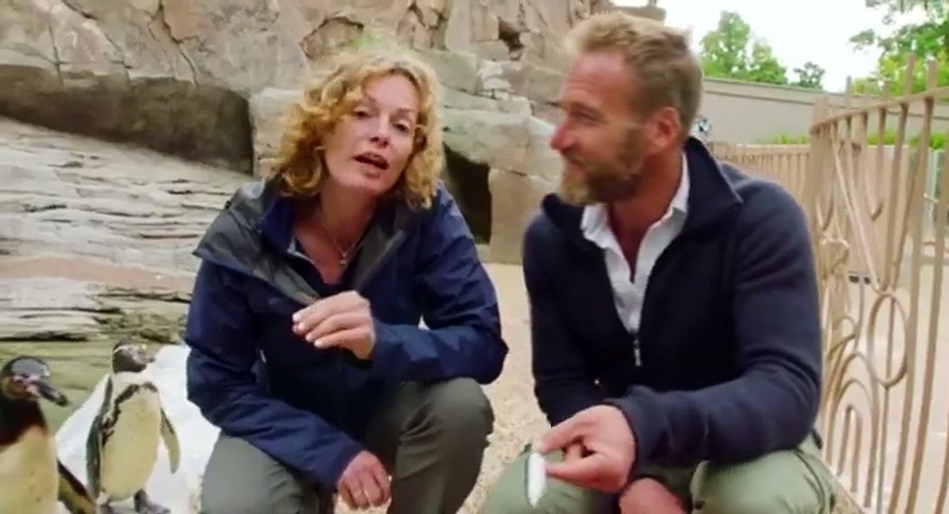 Animal Park  UK  S12xxE07 Summer Special 2017 E 7 - Part 01