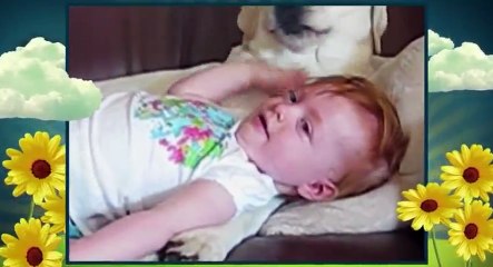 America Cutest S02xxE04 Dogs Cutified - Part 02