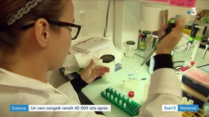 Science : un vers congelé renaît 42 000 ans après