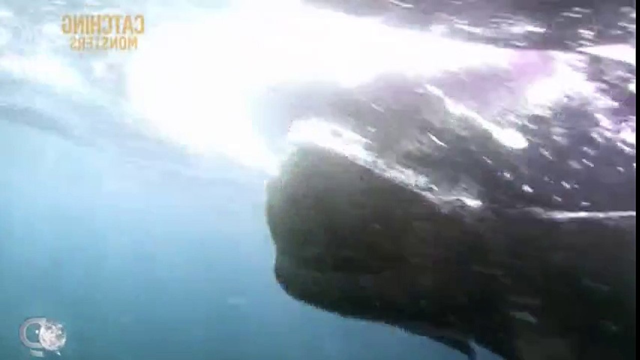 Catching Monsters S01xxE01 Bluefin Battle - Part 03