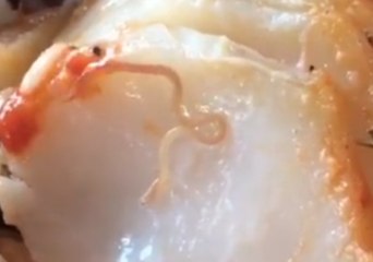 Video Shows Worm Crawling in Diner's Fish Dish at New Jersey Restaurant