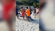 Tourists flee after a shark appears on a Majorcan beach