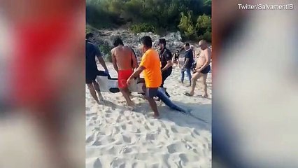 Tourists flee after a shark appears on a Majorcan beach