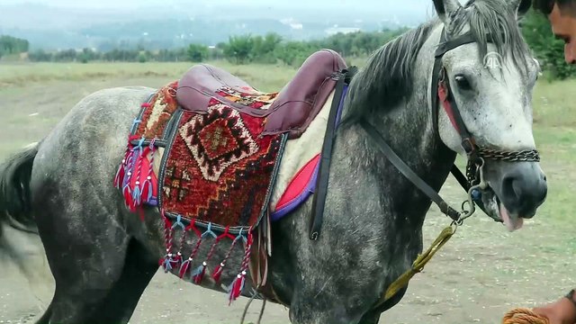 4. Düziçi Belediyesi Rahvan At Yarışları - OSMANİYE