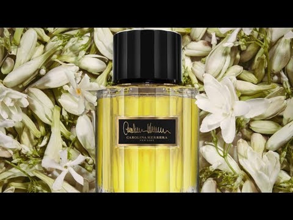 35 عاما من التميّز لدار كارولينا هيريرا تُجسدها...