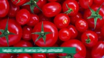  للطماطم فوائد مذهلة..تعرف عليها لمشاهدة المزيد من المعلومات الطبية والصحية تابع قناتنا على اليوتيوب   