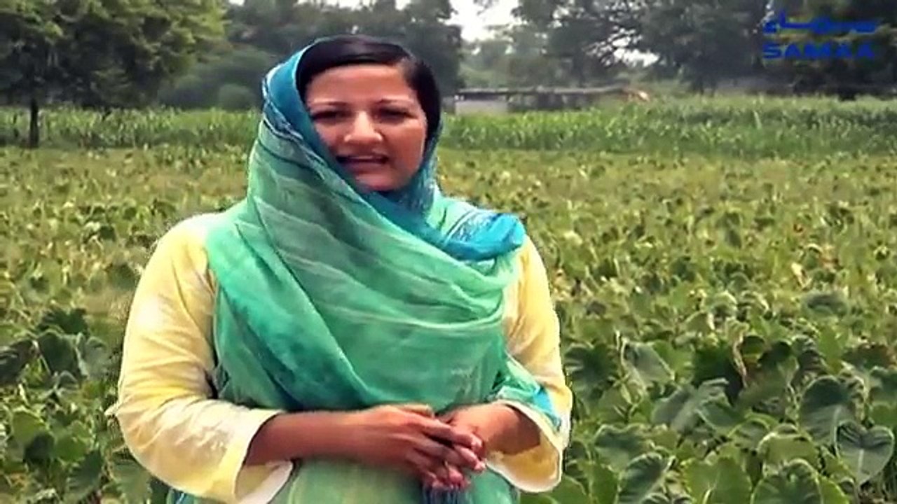 Pakistan Mein Solar Powered Chooley