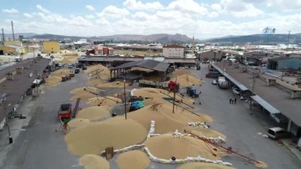 Sivas'ta Buğday Alımları Başladı...buğday Pazarı Havadan Görüntülendi
