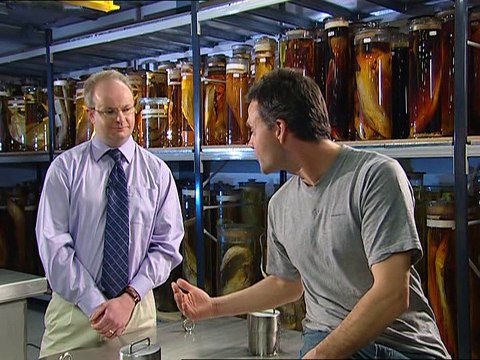 record breaking fish common carp chub & rainbow trout part.1 (2004)