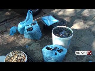 Sarandë, tregtimi i midhjes në kushte skandaloze/ Tregtarët ambulantë shesin me bidona të hapur