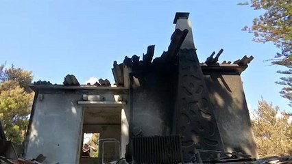 Athén: újabb halálos áldozata van a tűzvésznek