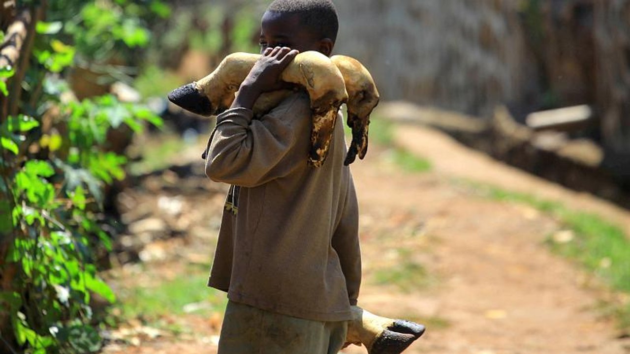 Health experts battle to contain DRC Ebola outbreak