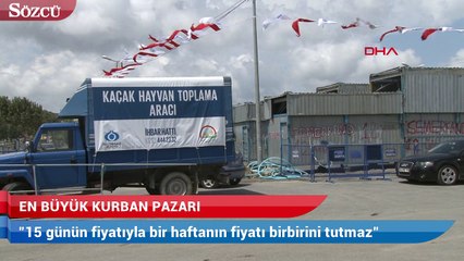 İstanbul’un en büyük kurban pazarı